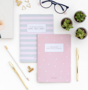 032-704 MR WONDERFUL- CONJUNTO 2 CADERNOS COISAS QUE NAO POSSO